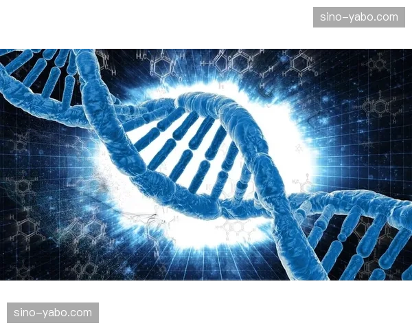 检录环节生物特征识别技术普及 运动员进场流程实现去人工化